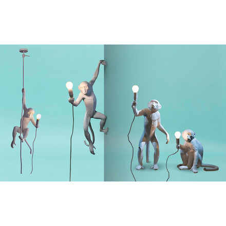 monkey lighting