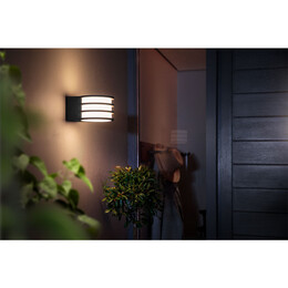 Lucca Außen Wandleuchte Antracit Philips Hue