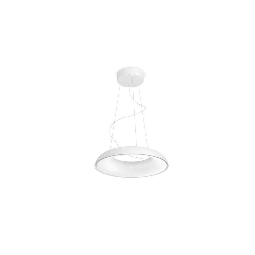 Amaze Pendel Hvit Philips Hue Philips Hue Amaze pendlet lampe white ambiance Sort fra