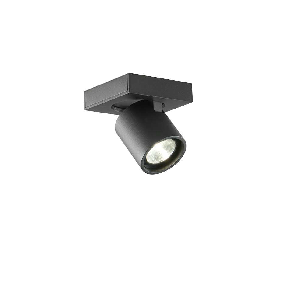 Focus+ 1 LED 3000K Loftlampe Sort – Light-Point