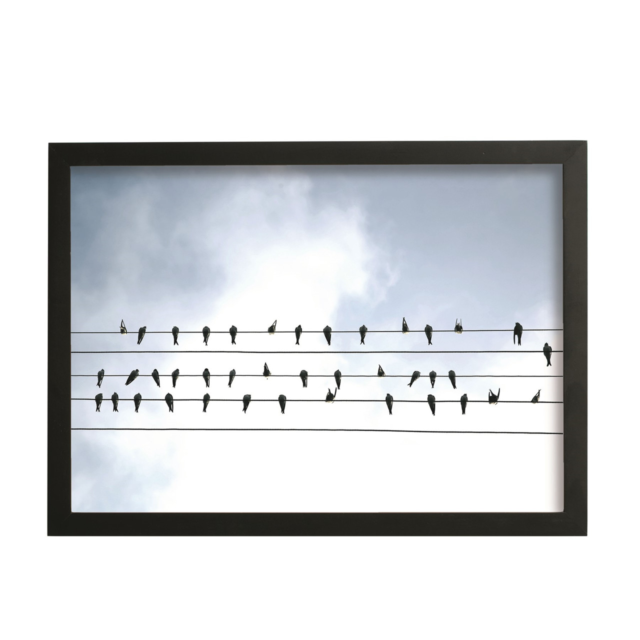 SINNERUP Billedramme Birds on Wire  (SORT M)