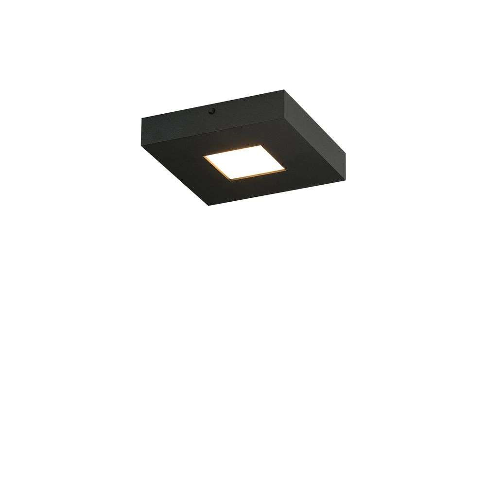 Bopp Cubus 1 Loftlampe Black