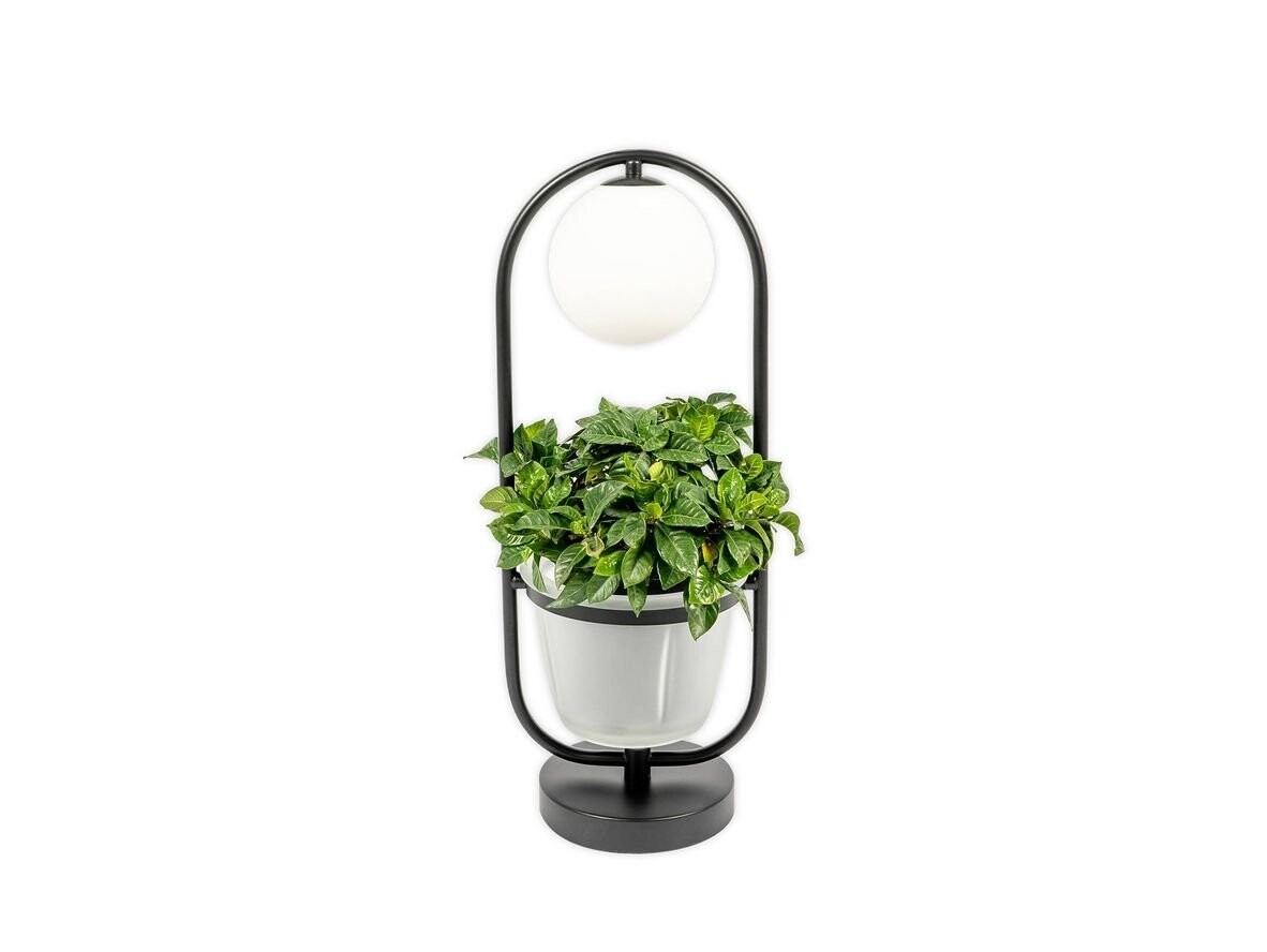 Lindby – Orna Bordslampa Black/Opal Lindby