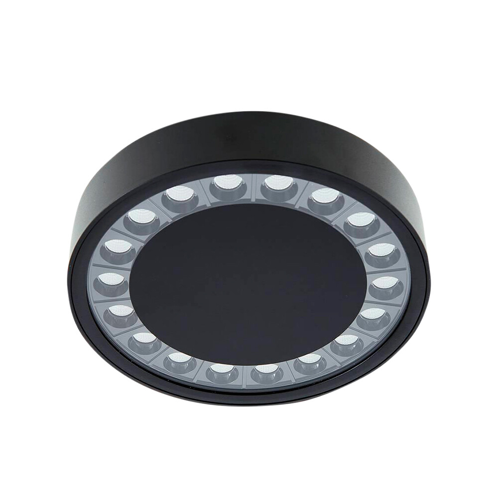 Lucande – Roran LED Utomhus Plafond Svart