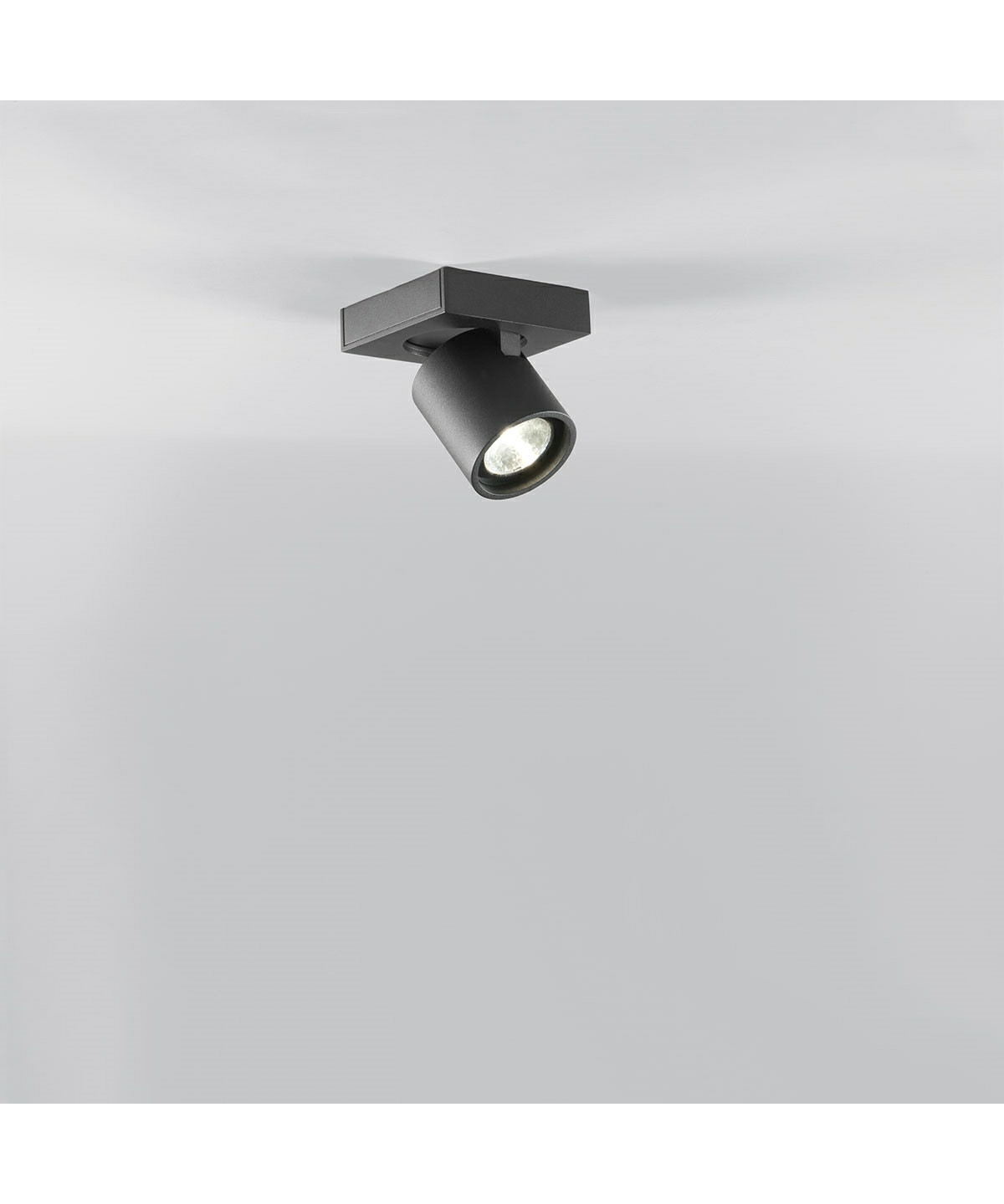 Focus Mini 1 Loftlampe Sort Light-Point