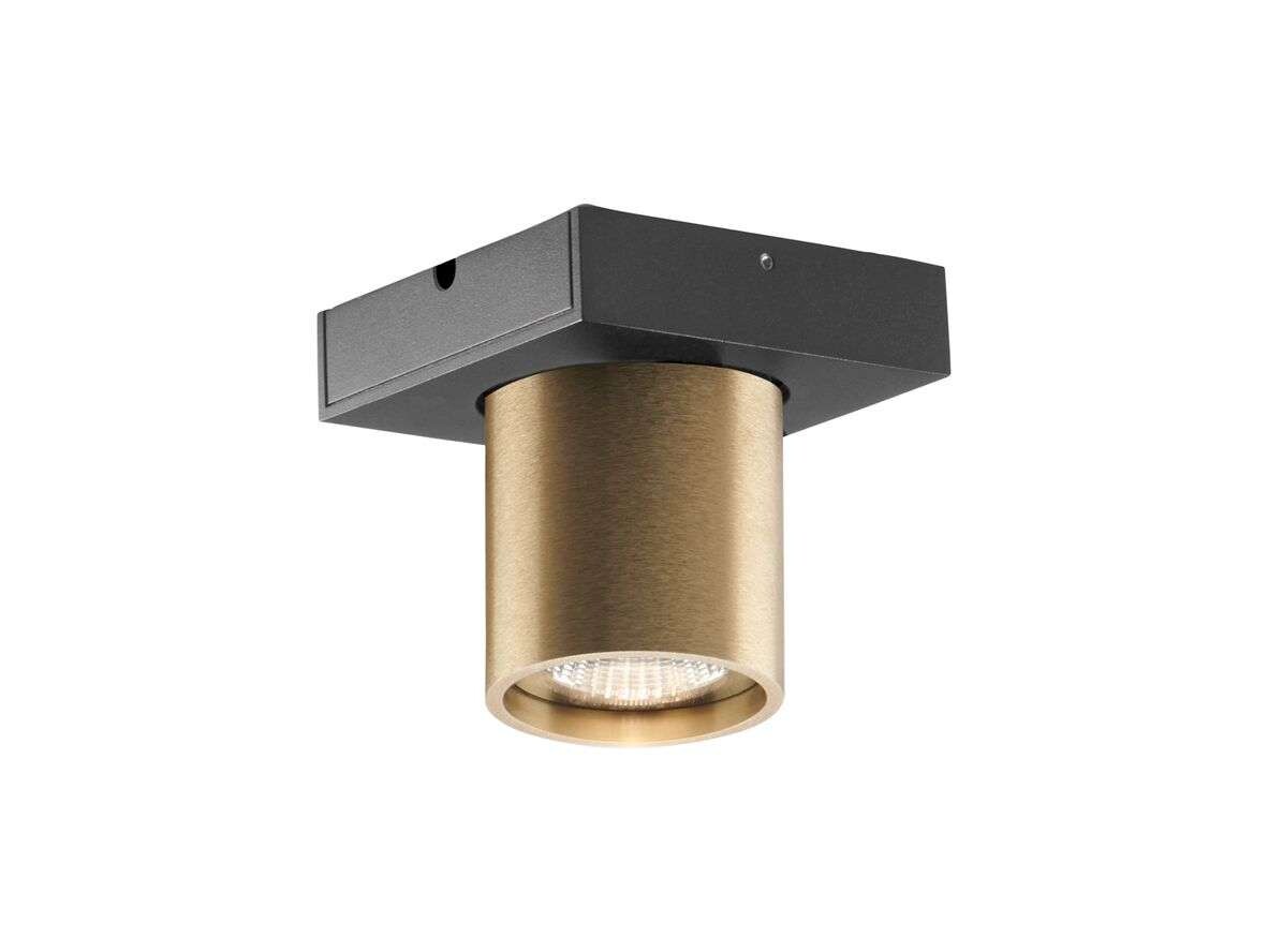 Light Point – Focus 1 LED Plafond 3000K Brass