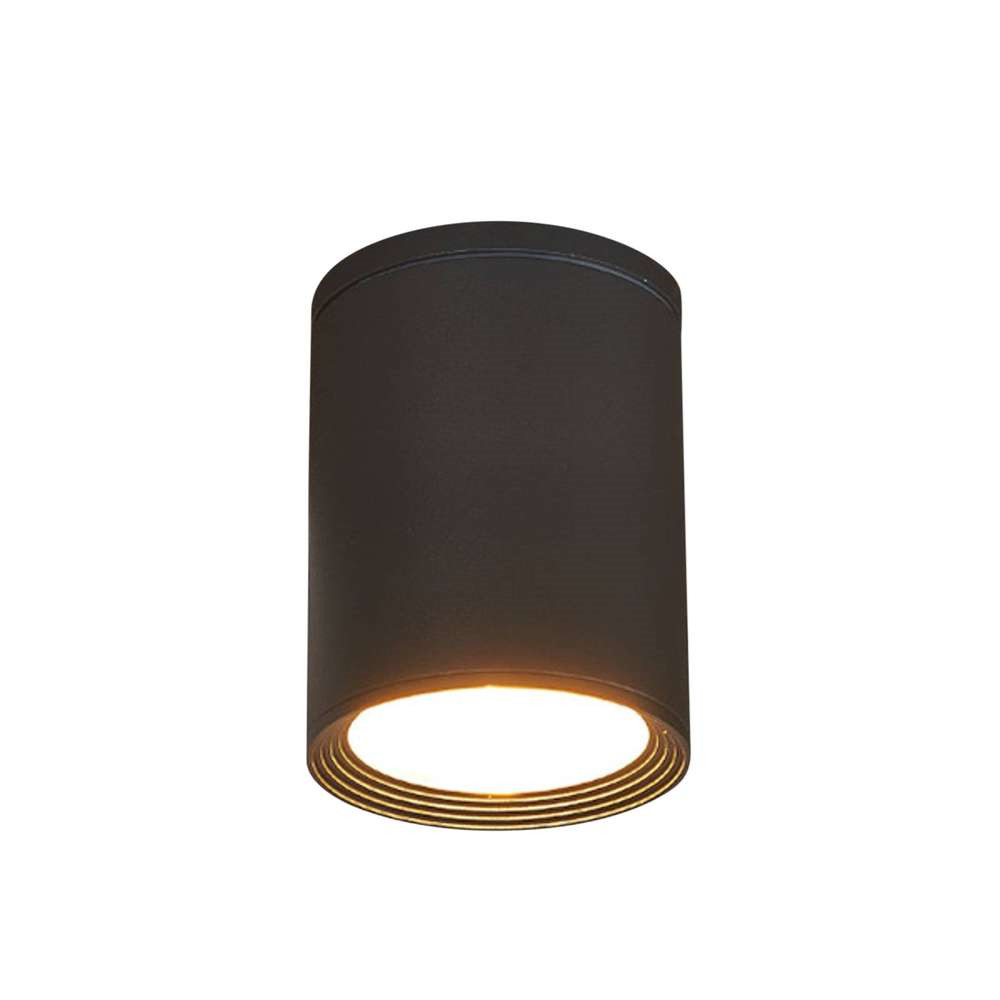 Lucande Minna Udendørs Loftlampe Graphite