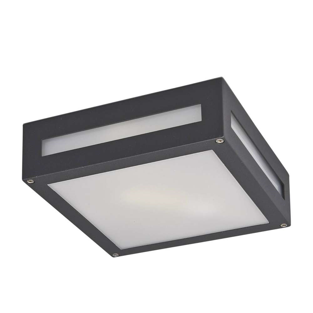 Lucande Nerea Udendørs Loftlampe Graphite