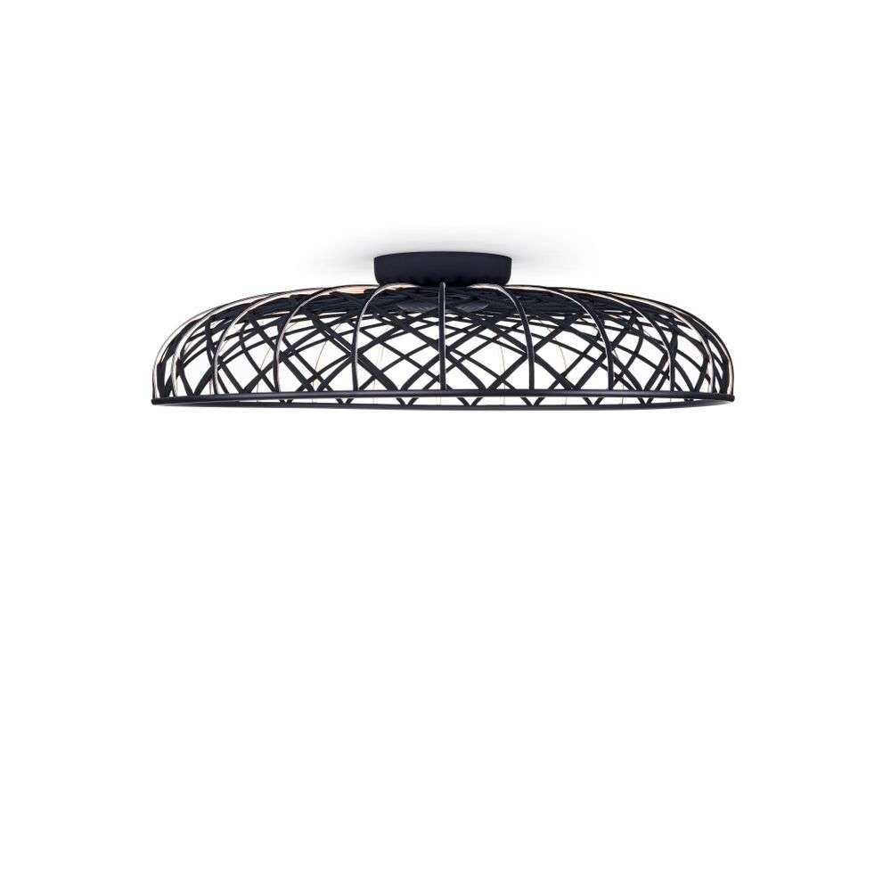 Flos - Skynest C Vegg-/Taklampe Anthracite Flos